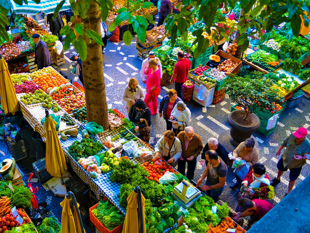People browse colorful fruit and vegetable stalls, surrounded by leafy trees, in a bustling outdoor market. Shoppers examine produce and sellers organize items atop checker-patterned tablecloths. Sunlight filters through the foliage.